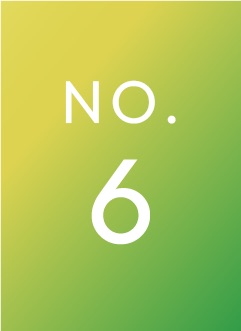 NO.6