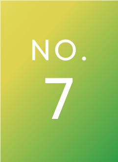NO.7