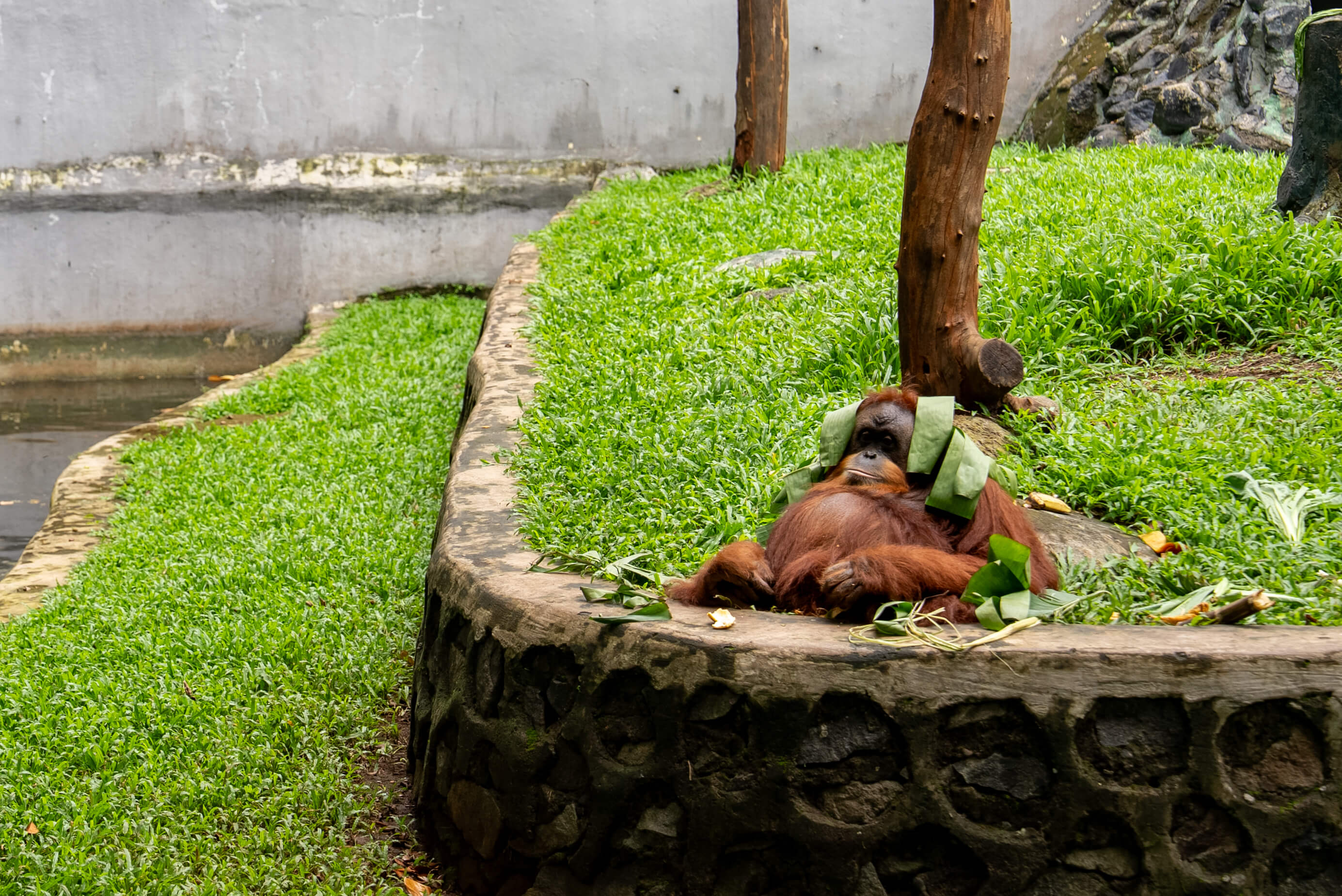動物たちのやさしいまなざしに癒されて