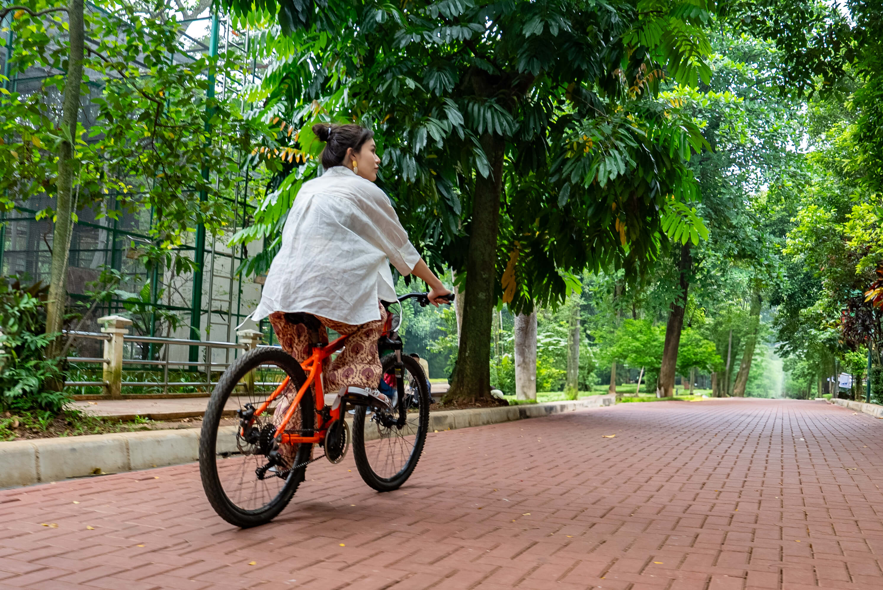 ラグナン動物園