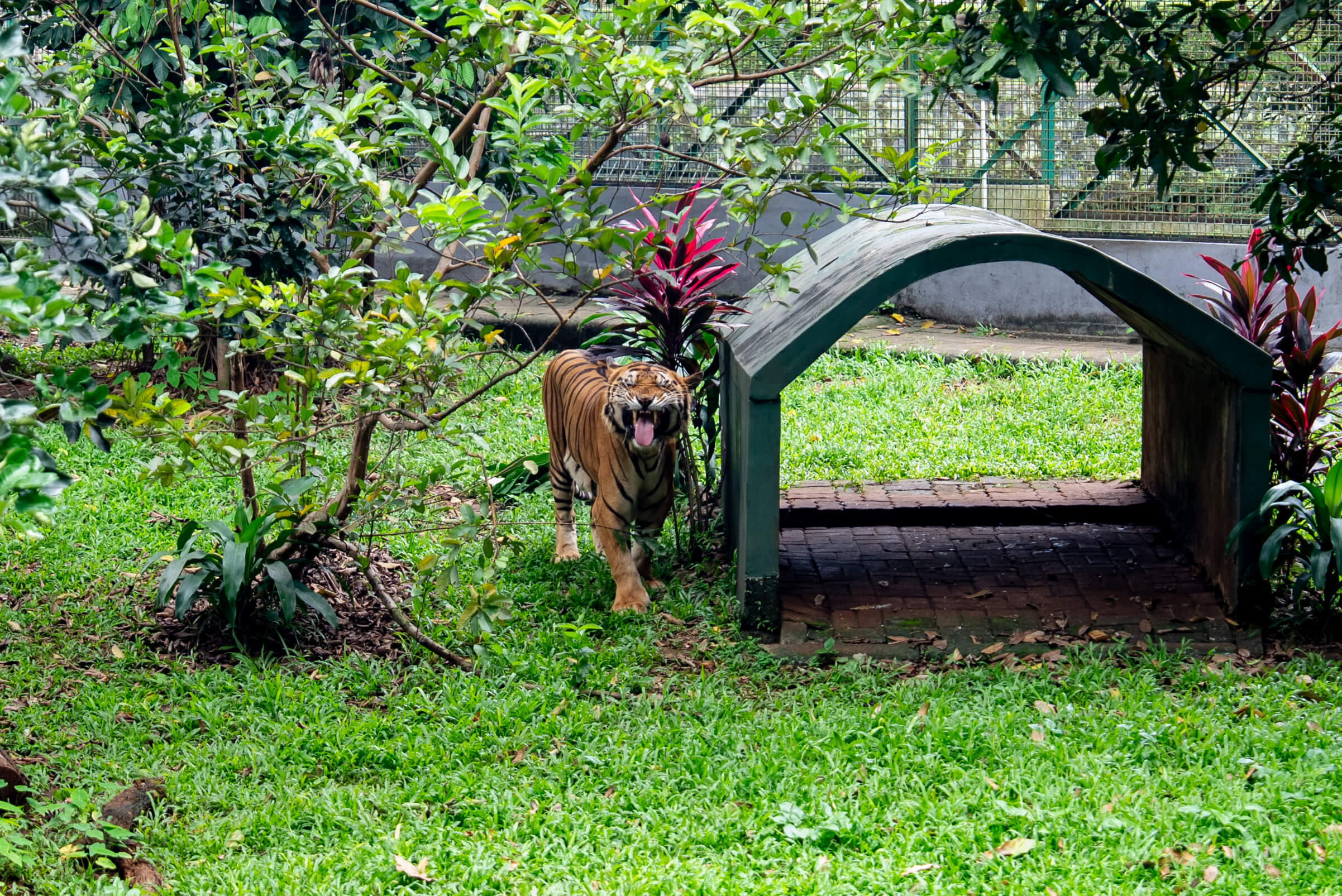 ラグナン動物園